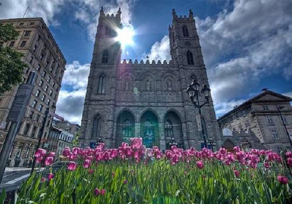 Thành phố montreal